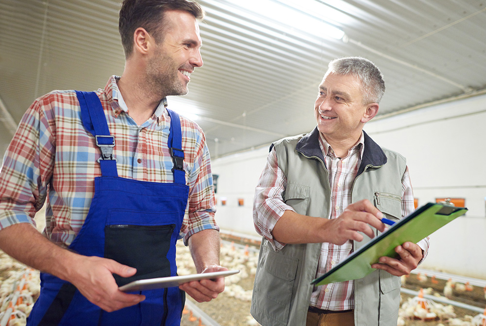 Current Open Positions at Hardwick Farmers Co-operative