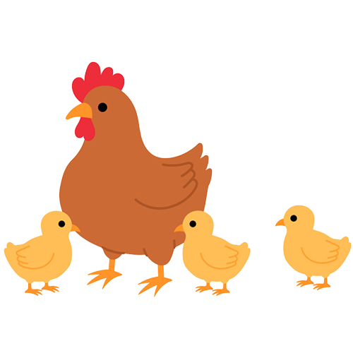 Order Chicks