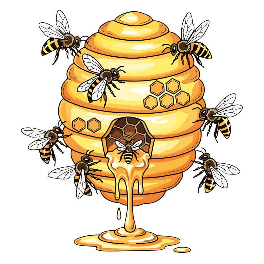 Order Honey Bees