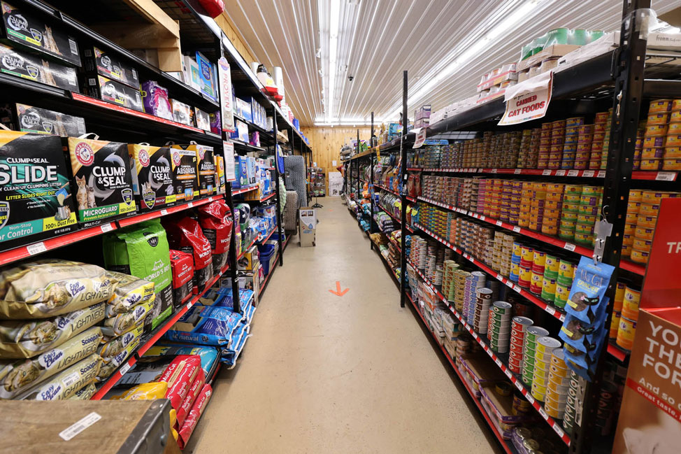 Pet Supplies for Cats